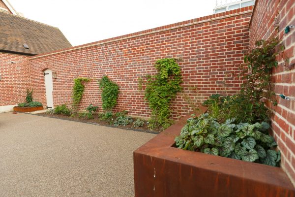 AH-DelaP-220616-1276